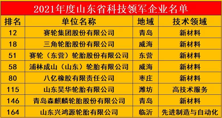 2021年度山東省科技領軍企業名單