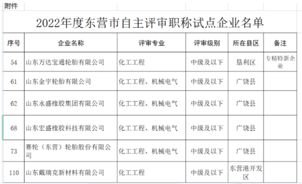 職稱自主評審，5家輪胎企業試點！